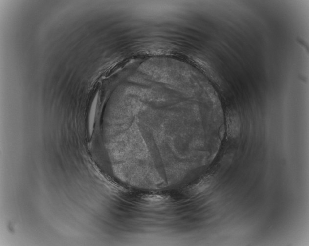 X0000098190453200805221521