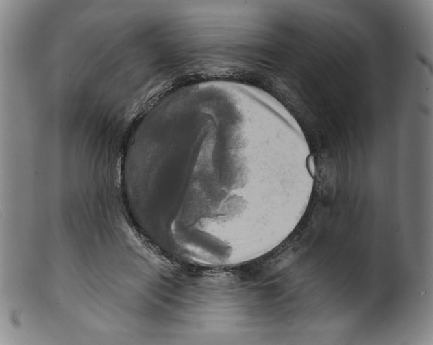 X0000098190454200805221521