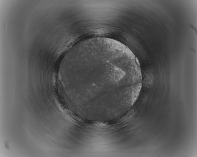 X0000098190456200805221521