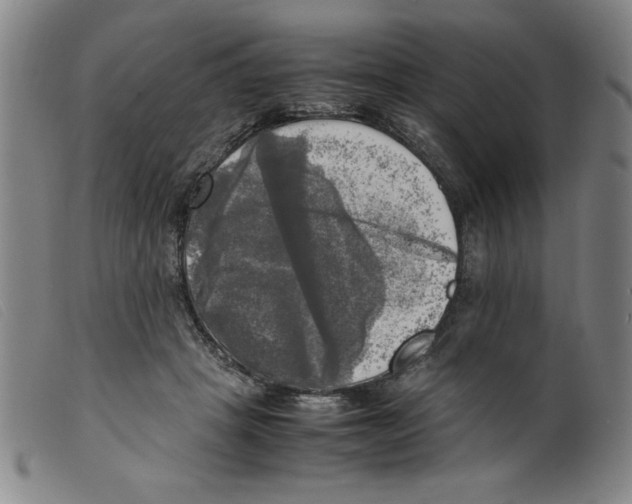 X0000098190457200805221521