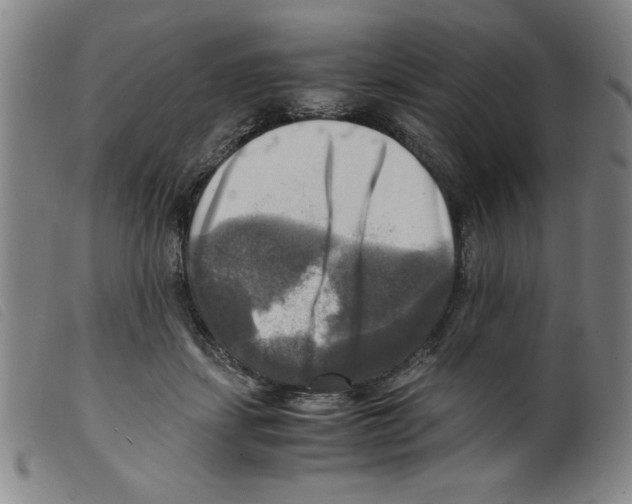 X0000098190459200805221521