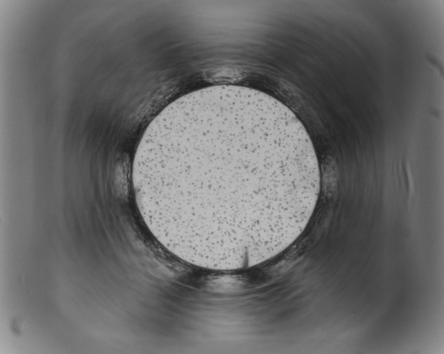 X0000098190460200805221521