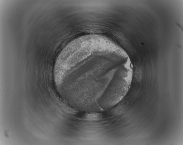 X0000098190461200805221521