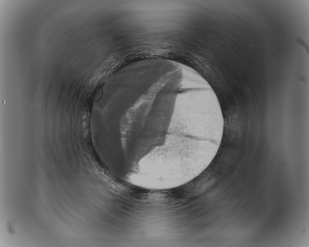 X0000098190462200805221521