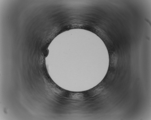X0000098190463200805221521