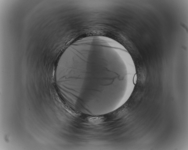 X0000098190465200805221522