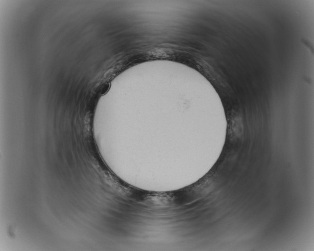 X0000098190466200805221522
