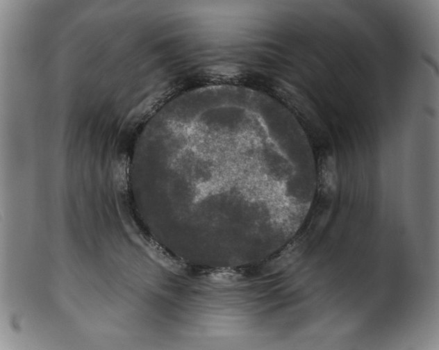 X0000098190468200805221522
