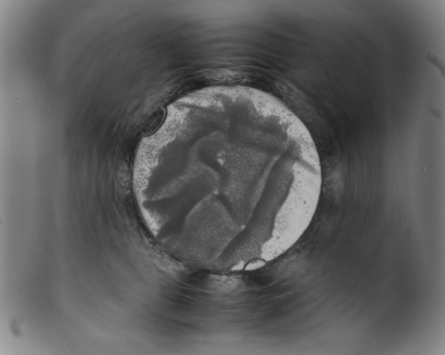 X0000098190469200805221522