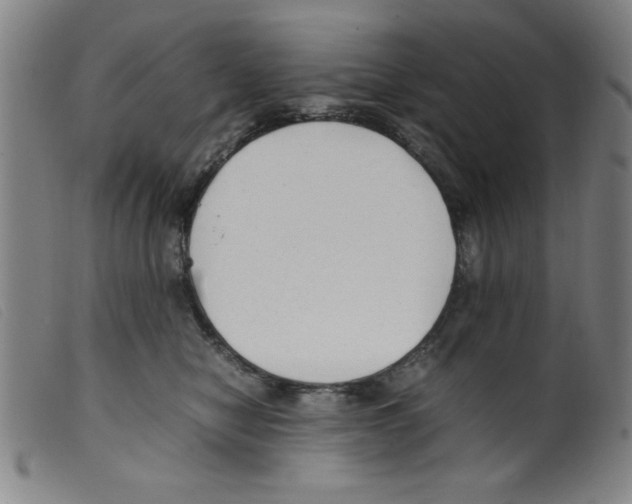 X0000098190470200805221522