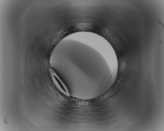 X0000098190471200805221522