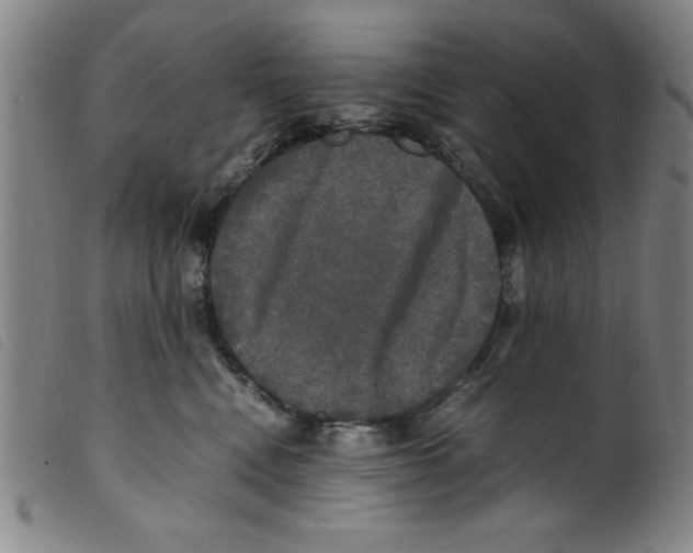 X0000098190472200805221522