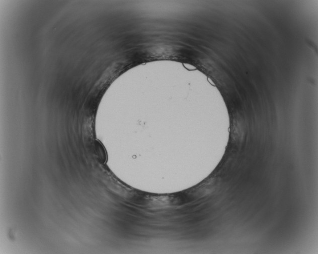 X0000098190473200805221522