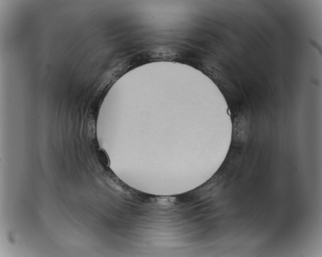 X0000098190474200805221522