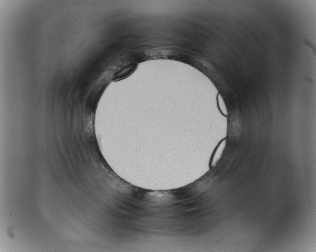 X0000098190477200805221522
