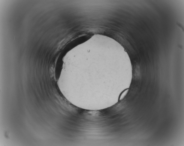 X0000098190478200805221522