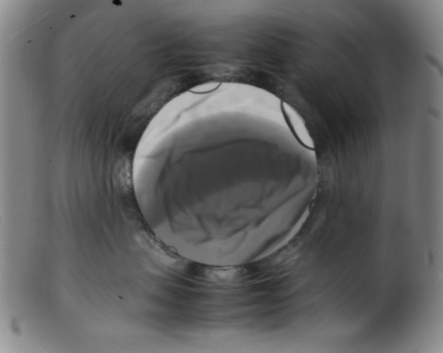 X0000098190479200805221522