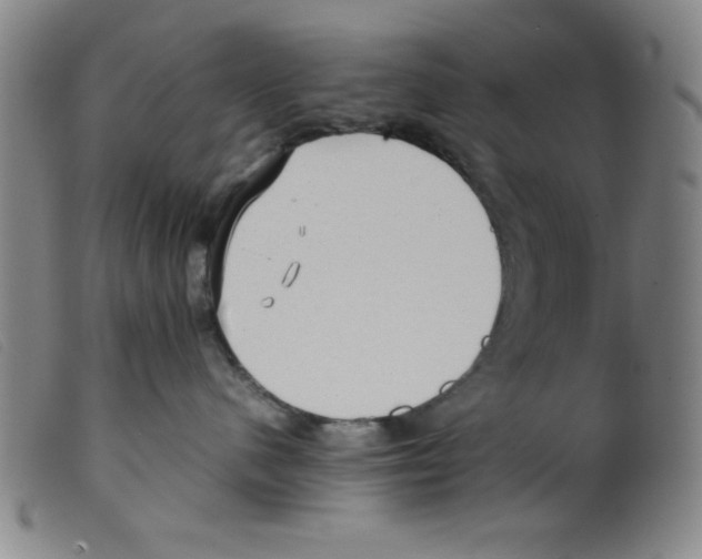 X0000098190480200805221522