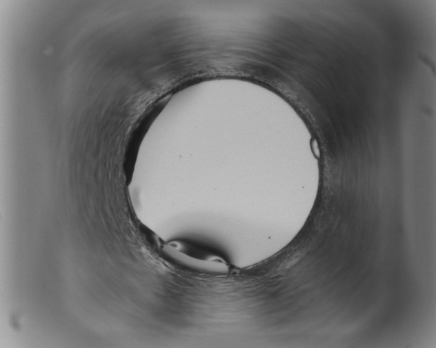 X0000098190481200805221521