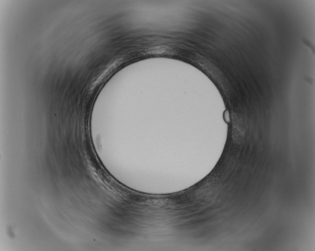 X0000098190482200805221521