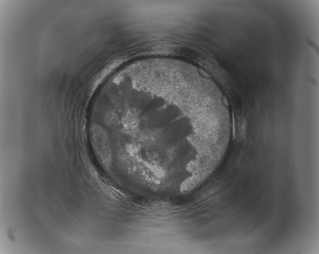 X0000098190483200805221521