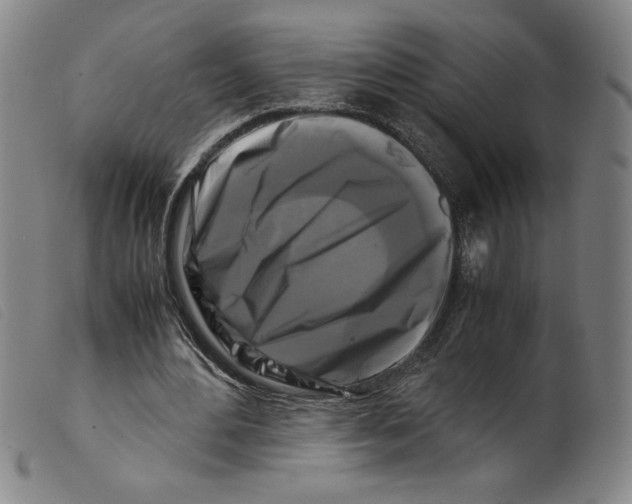 X0000098190484200805221521