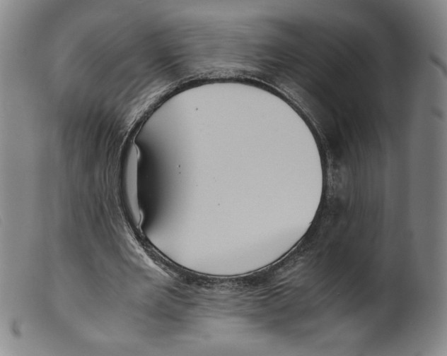 X0000098190485200805221521