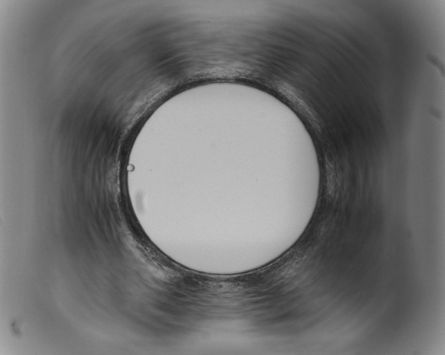 X0000098190486200805221521