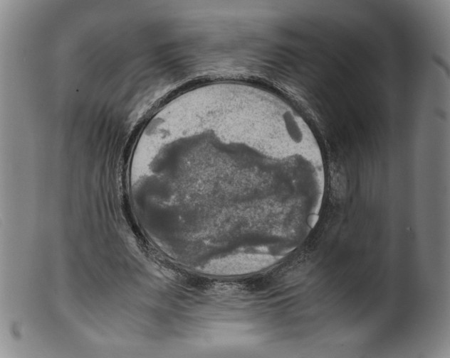 X0000098190487200805221521