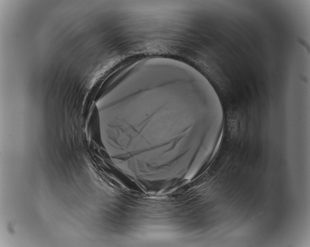 X0000098190488200805221521