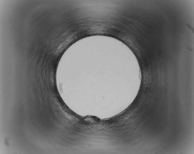 X0000098190489200805221521