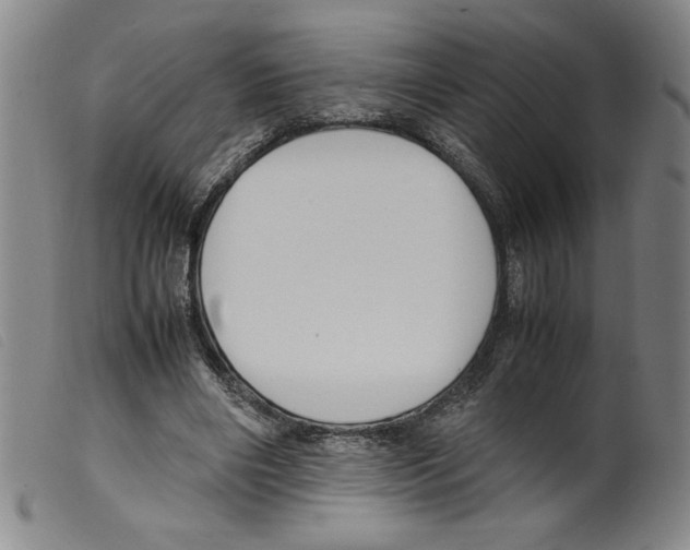 X0000098190490200805221521