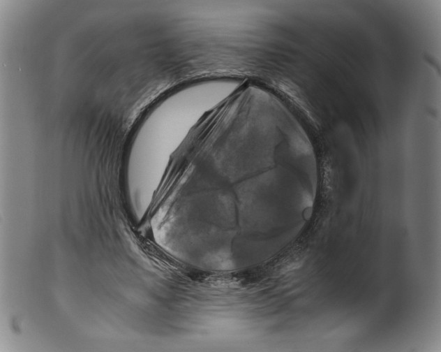 X0000098190491200805221521