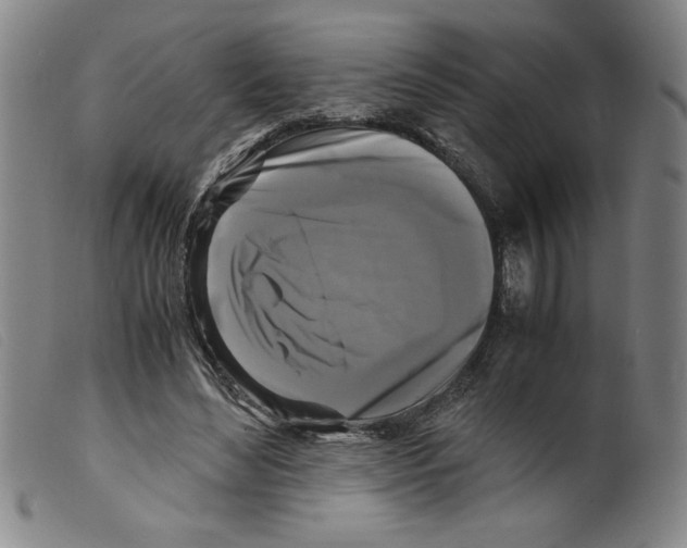 X0000098190492200805221521