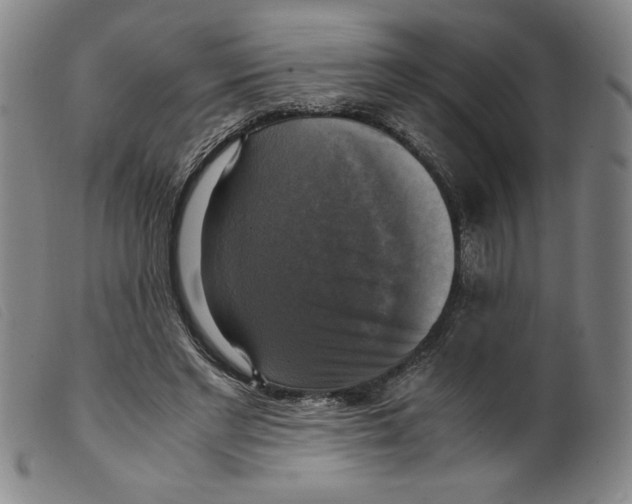 X0000098190493200805221521