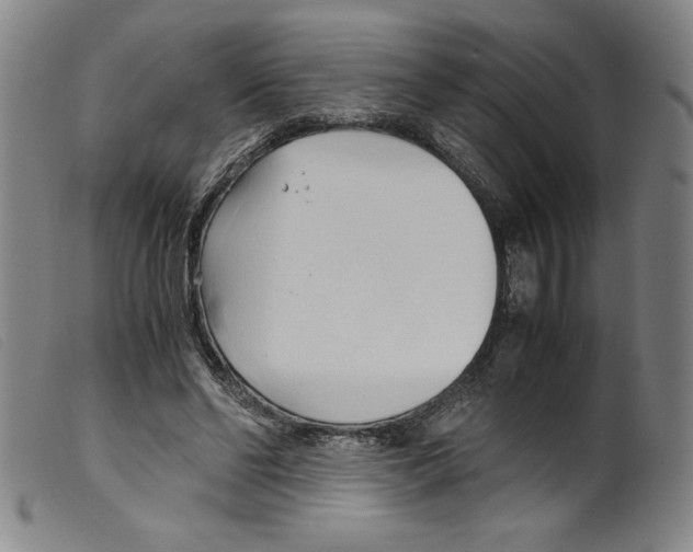 X0000098190494200805221521