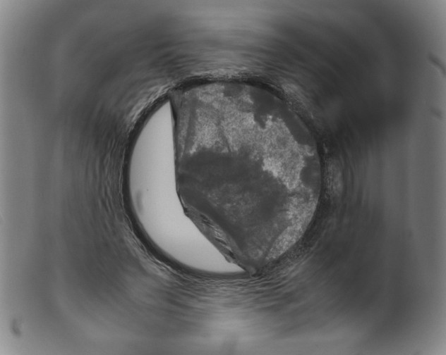 X0000098190495200805221521