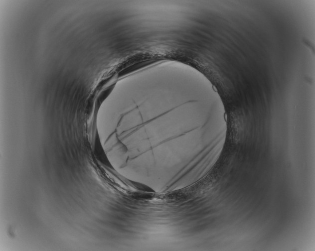 X0000098190496200805221521
