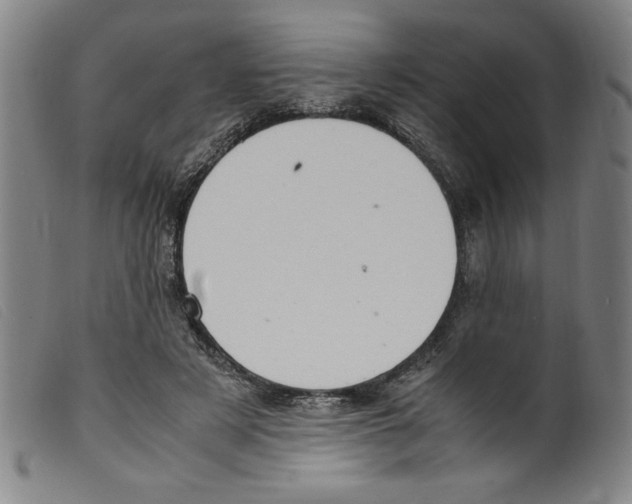 X0000098190497200805221521