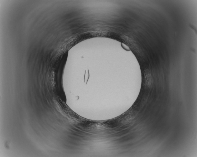X0000098190498200805221521