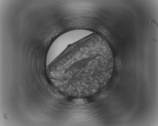 X0000098190499200805221521