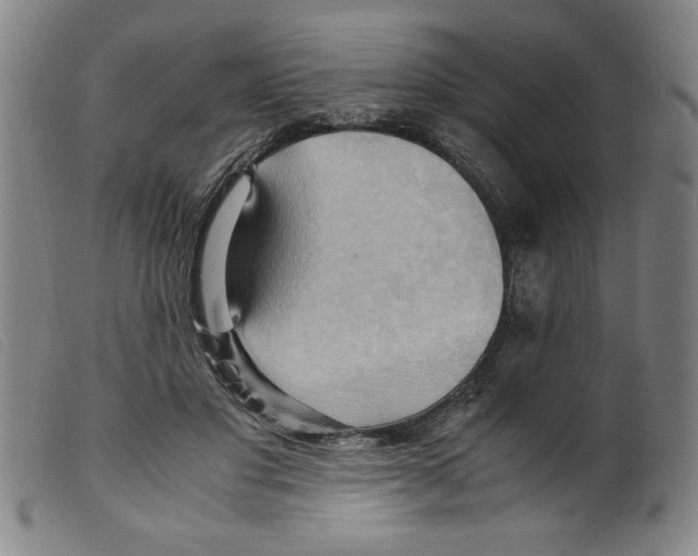 X0000098190501200805221521