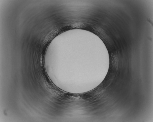 X0000098190502200805221521