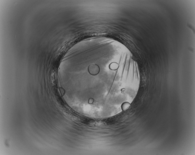 X0000098190503200805221521