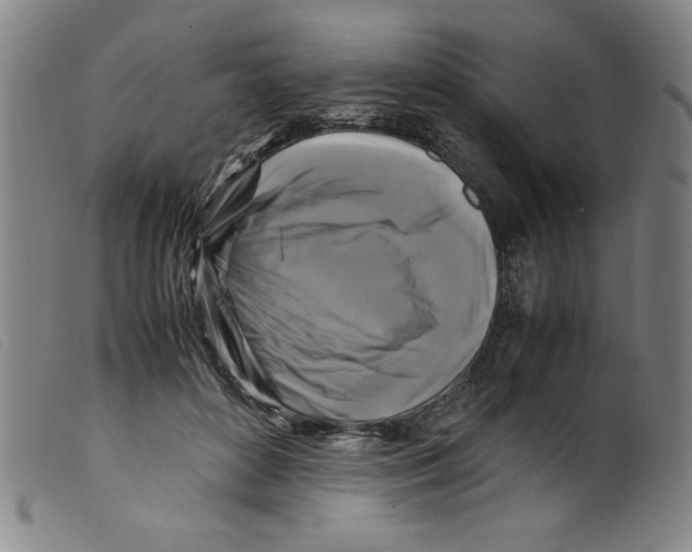 X0000098190504200805221521
