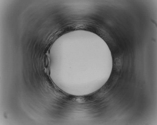 X0000098190506200805221521