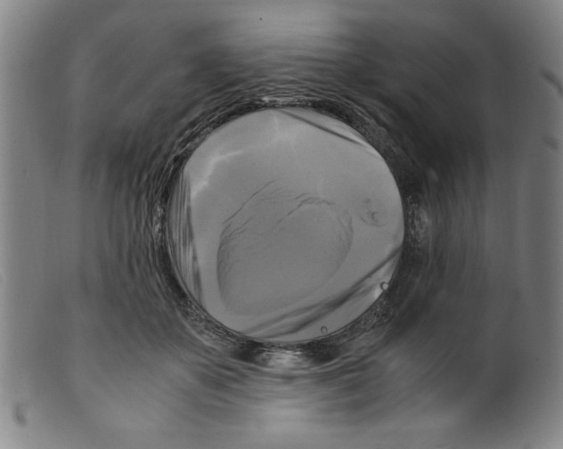 X0000098190507200805221521
