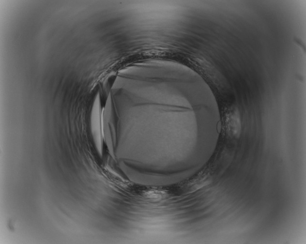 X0000098190508200805221520