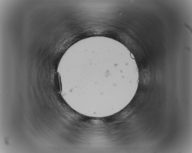 X0000098190509200805221520