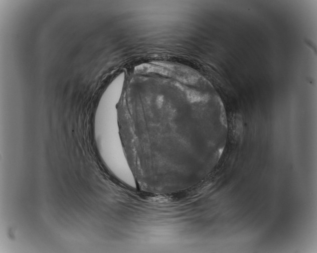 X0000098190511200805221520